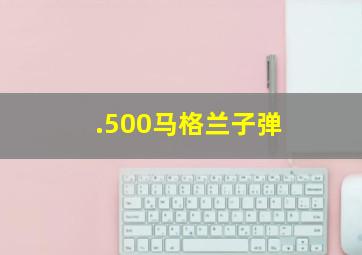 .500马格兰子弹