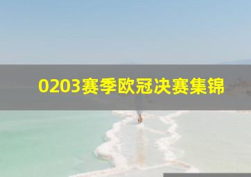 0203赛季欧冠决赛集锦