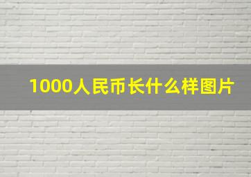 1000人民币长什么样图片