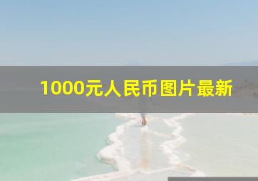 1000元人民币图片最新