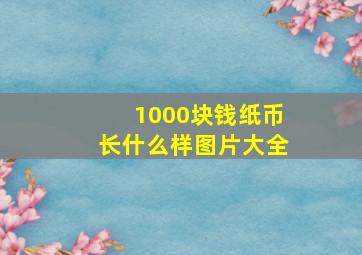 1000块钱纸币长什么样图片大全