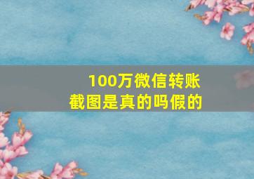 100万微信转账截图是真的吗假的