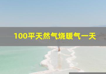 100平天然气烧暖气一天