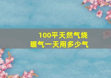 100平天然气烧暖气一天用多少气