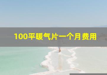 100平暖气片一个月费用