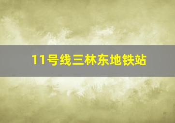 11号线三林东地铁站