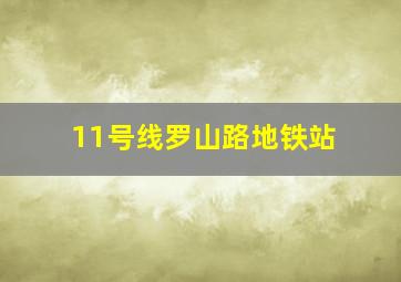 11号线罗山路地铁站