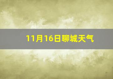 11月16日聊城天气