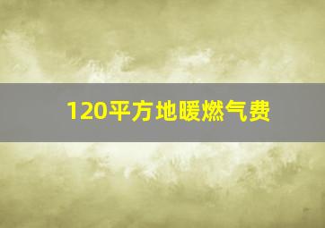 120平方地暖燃气费