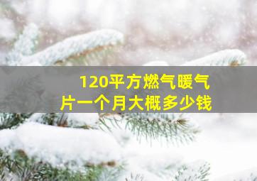 120平方燃气暖气片一个月大概多少钱