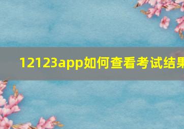 12123app如何查看考试结果