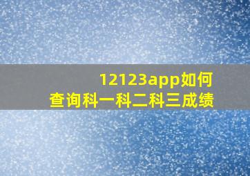 12123app如何查询科一科二科三成绩