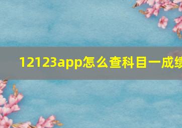 12123app怎么查科目一成绩