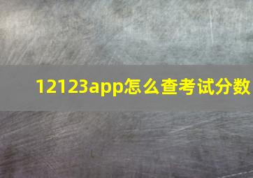 12123app怎么查考试分数