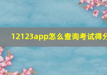 12123app怎么查询考试得分