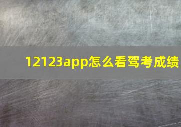 12123app怎么看驾考成绩