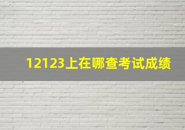 12123上在哪查考试成绩