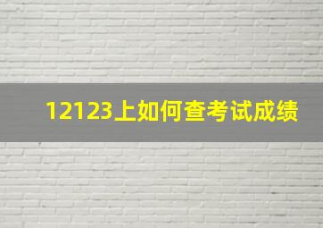 12123上如何查考试成绩