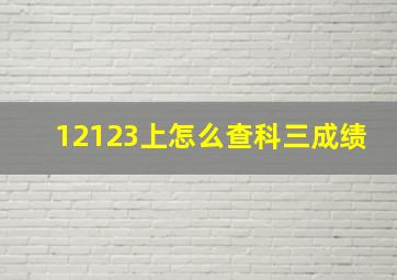 12123上怎么查科三成绩