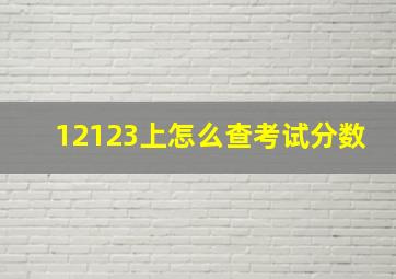 12123上怎么查考试分数