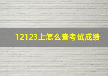 12123上怎么查考试成绩