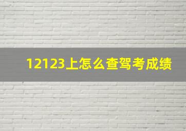 12123上怎么查驾考成绩