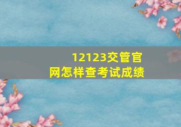 12123交管官网怎样查考试成绩