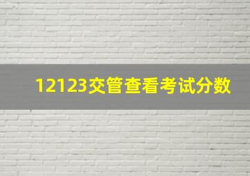 12123交管查看考试分数