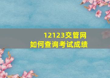 12123交管网如何查询考试成绩