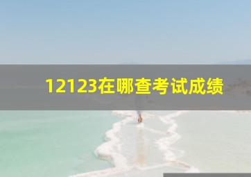 12123在哪查考试成绩