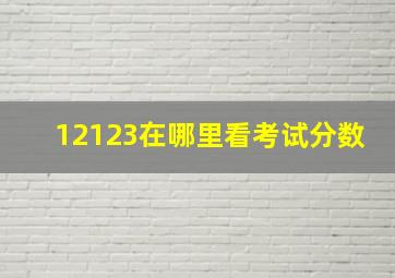 12123在哪里看考试分数