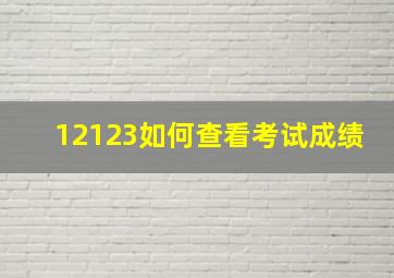 12123如何查看考试成绩