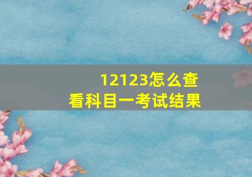 12123怎么查看科目一考试结果