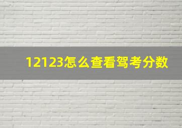 12123怎么查看驾考分数