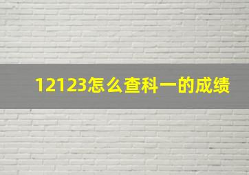 12123怎么查科一的成绩