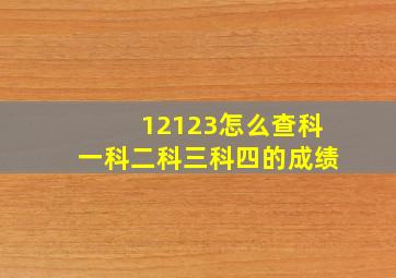 12123怎么查科一科二科三科四的成绩