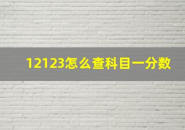 12123怎么查科目一分数