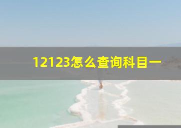 12123怎么查询科目一