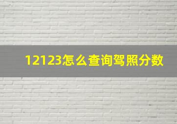 12123怎么查询驾照分数