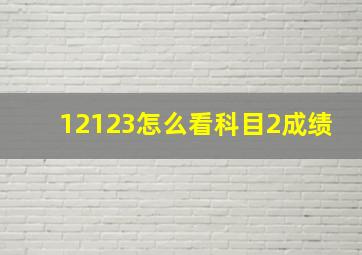 12123怎么看科目2成绩