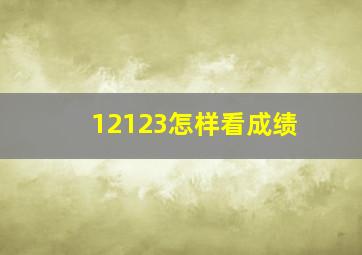 12123怎样看成绩