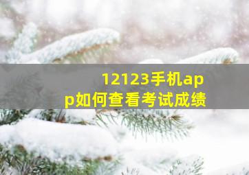 12123手机app如何查看考试成绩