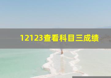 12123查看科目三成绩