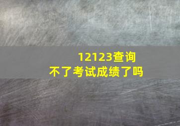 12123查询不了考试成绩了吗