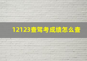 12123查驾考成绩怎么查