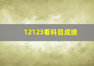 12123看科目成绩