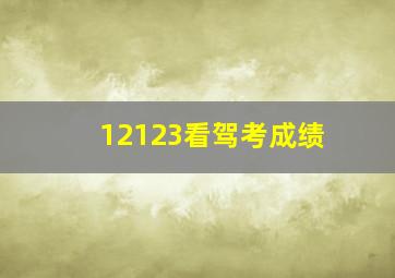 12123看驾考成绩