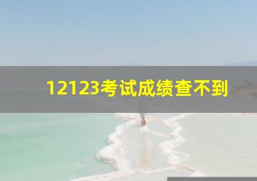 12123考试成绩查不到