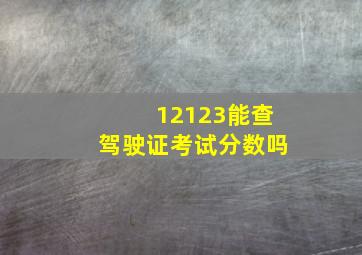 12123能查驾驶证考试分数吗