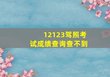 12123驾照考试成绩查询查不到